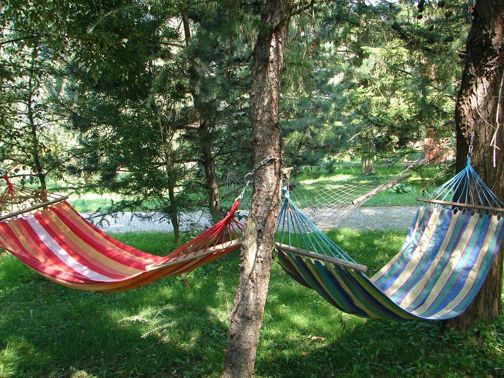 Bed & Breakfast Gosciniec Kocmierzow *