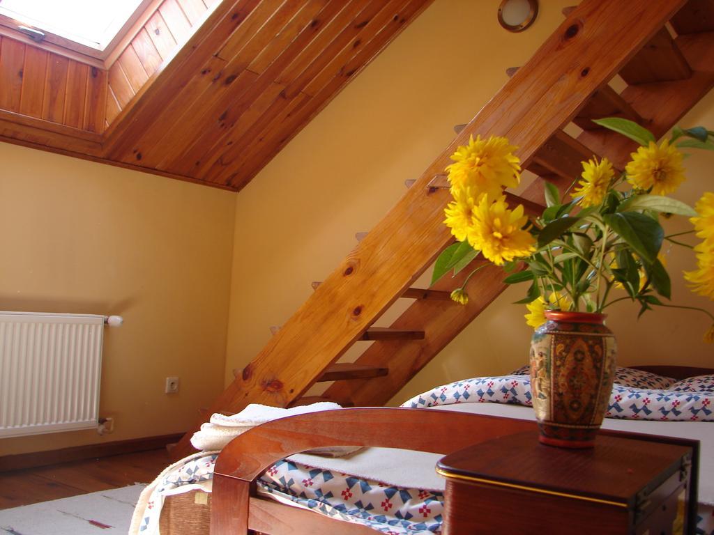 Gosciniec Kocmierzow *
